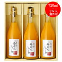 三友農園 果汁100％ストレート 有田みかんジュース（720ml×3本）オレンジジュース 有田みかん（国産：和歌山産／温州みかん）無添加 ストレート【お中元 お歳暮 母の日 父の日 結婚祝い 出産祝い 結婚内祝い 出産内祝い 御礼 御祝い 引き出物 法事】