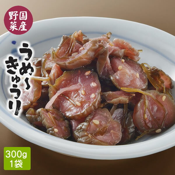 しば漬け風味 うめ～きゅうり（100g）梅肉入り 国産野菜使用 柴漬け風味 ご飯のお供 お酒のつまみ きゅうり なす 昆布 しょうが お味見用（5個までネコポス便でお届け）