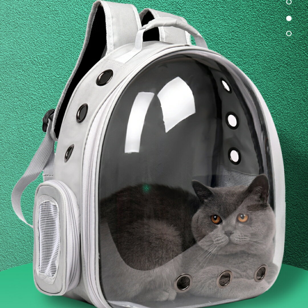 ペットキャリーバッグ 猫キャリー 犬猫兼用 宇宙船カプセル型 犬リュックサック 旅行ペットバッグ 透明 顔出し UVカット紫外線対策型 通気性 大容量 耐久性 安全性 折りたたみ パッド付き 2