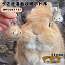 遺毛 収納 うさぎ ペット ボトル キーホルダー ケース 透明 保管 ひげ 抜け毛 思い出 メモリアル 可愛い アクセサリー ストラップ チェーン 首かけ プレゼント ギフト 見える デザイン 軽量 コンパクト 小さい お守り ペット用品