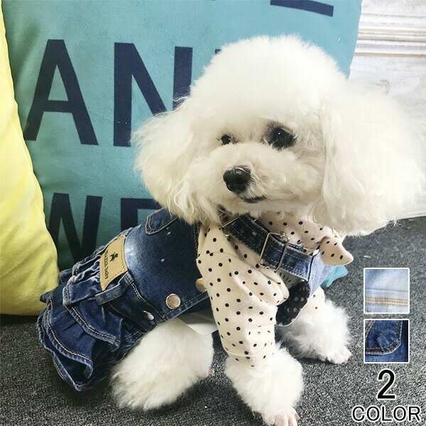 ڥå ǭ ǥ󥰥ɥ쥹  ɥå åȥ եޥ 뺧  ǭ ǥ ɥ쥹 塼륹...