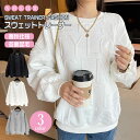大きいサイズ レディース トレーナー スウェットトレーナー スウェットパーカー プルオーバーパーカー 薄手 秋服 春秋 裏起毛 裏ボア 暖かい 無地 カジュアル