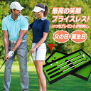 ゴルフ クラブ プレゼント 男性 喜ばれる ボールペン ゴルフ 雑貨 ゴルフコンペ景品 ゴルフコンペ パター 景品 賞品 コンペ賞品 高級 父の日 プレゼント ...