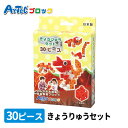 Artecブロック きょうりゅうセット 1個入 / 恐竜 ティラノサウルス アーテックブロック キューブ 日本製 算数学習 立体 図形 クリエイト 玩具 おもち...