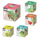 エコ栽培キット Re:Green 全5種 1セット入 / 家庭菜園 観察 簡単 かんたん 手軽 夏休み 冬休み 自由研究 野菜 実験 食育 ワイルドストロベリー...