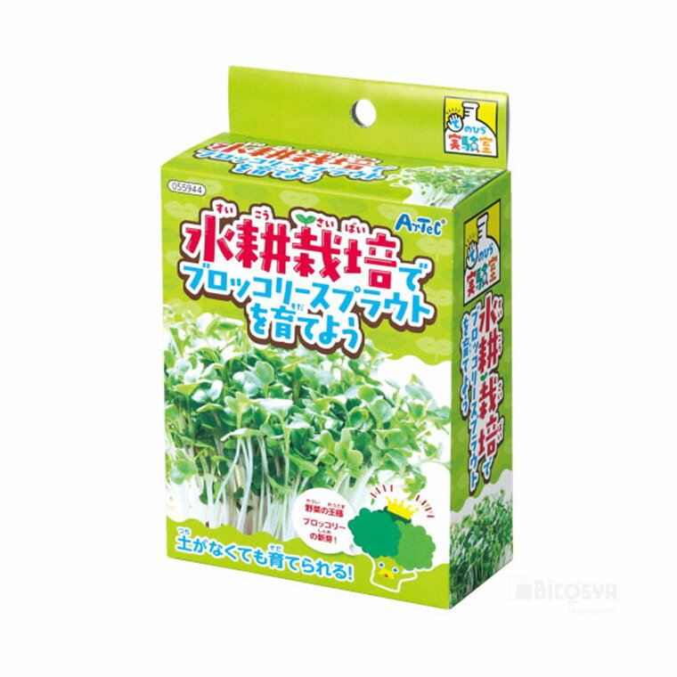 商品について 商品名 水耕栽培でブロッコリースプラウトを育てよう 商品説明 土がなくてもブロッコリースプラウトが育てられる！ セット内容 スプレーボトル×1、ブロッコリースプラウトのタネ×1 サイズ（約） 箱サイズ：143×90×40mm 販売元 株式会社アーテック 備　考 ※画像は閲覧環境により実際のお色と異なる場合がございます。 ※カラーの微妙な色の違いによる返品、交換は受け付けておりません。予めご了承くださいませ。 関連商品 水耕栽培で黒豆もやしを育てよう 水耕栽培で緑豆もやしを育てよう お家で楽しく栽培キット 選べる9種 スプラウト栽培キット カイワレダイコン おうちで育てるミニトマト プチベジ 選べる4種 カプセルガーデン 選べる4種 ハーブ