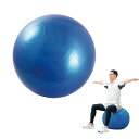 バランスボール 空気入れ付 1個入 / フットポンプ付き 55cm 体幹 骨盤 バランス エクササイズ インナーマッスル 耐荷重100kg 椅子 ダイエット 器...