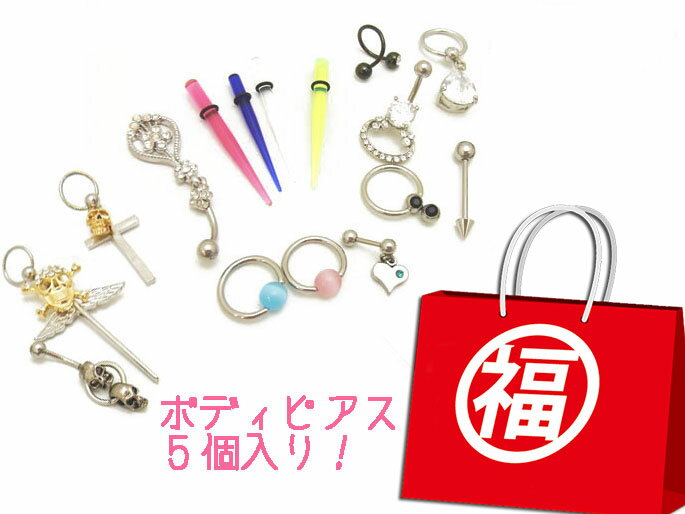 在庫限り!14G 16G ボディピアス お楽しみ袋 計5個入 / ボディーピアス お楽しみ ランダム セット ステンレス プラ キュービック 福袋 【ゆうパケット送料無料】