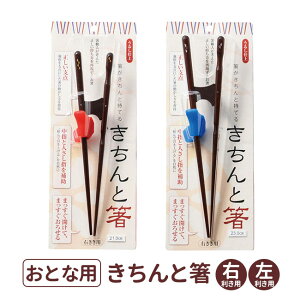 イシダ 大人用 きちんと箸 右利き 左利き 21cm 23cm（1膳入）/ 大人用 おとな 成人 女性 男性 矯正箸 矯正ばし 矯正はし しつけ箸 お箸 箸 右きき 左きき 日本製 漆仕上げ 若狭塗 国産 若狭塗箸 はしの持ち方 箸の正しい持ち方【宅配便】