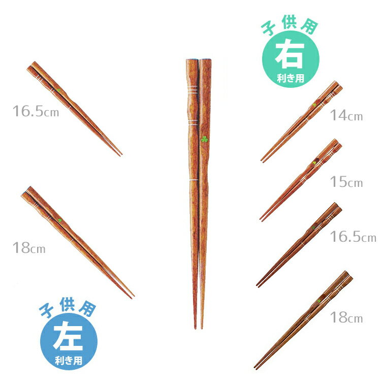 子供用 三点支持箸(右利き用14-18cm・左利き用16 5 18cm)全6種 はし上手 / 矯正箸 ポリエステル塗装 箸の正しい持ち方 【ゆうパケット対応】