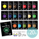 在庫限り!染プロ マルチ 7gパック 全20色 / 染色 綿 麻 レーヨン 天然繊維 毛 絹 化学繊維 帽子 リメイク 色あせ マルチ染料 簡単 安全 タイダイ染め スニーカー染め 染め粉 【ゆうパケット対応】