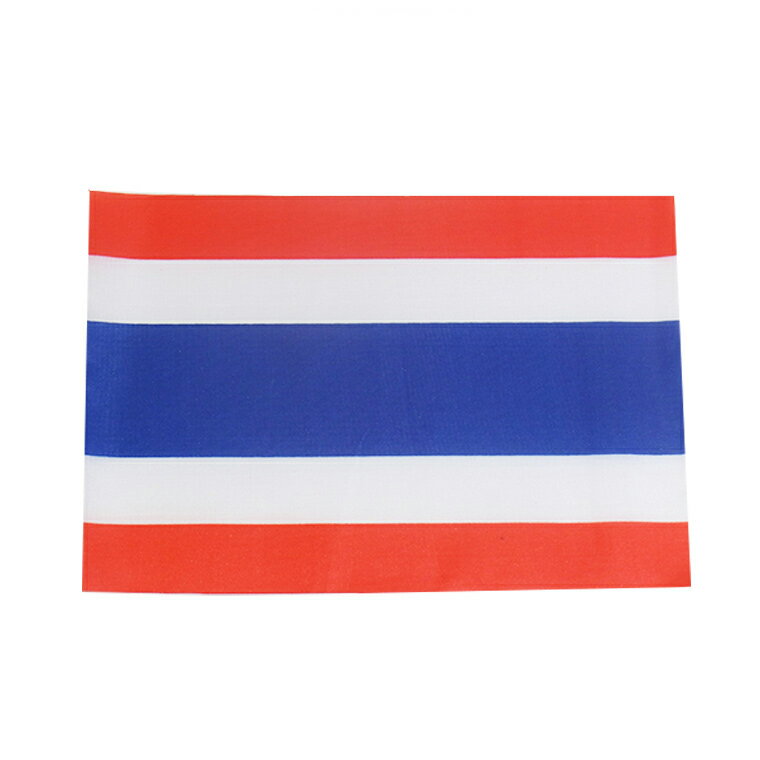 世界の国旗（約21×14cm）タ行国 ：タ