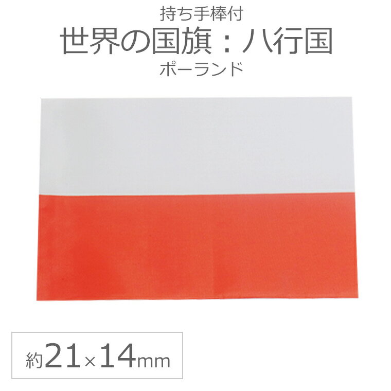 ι2114cm˥ϹԹ ݡ /   ߥ˹  եå 祰åڤ椦ѥåб