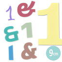 9cm 厚さ3mm 切り抜き文字 数字・記号 パステルアクリル製 アンシャンテラボ / オリジナル商品 マット ツヤ消し 切り文字 切文字 パーツ 共通記号 ハンドメイド クラフト DIY 表札 ネームプレート 看板 ウェルカムボード ウエディング ウェルカムボード【ゆうパケット対応】