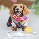 アンシャンテラボ うちの子スタンド アクリルスタンド ペット 厚さ3mm / オリジナル商品 アクリル製 アクスタ 動物 犬 いぬ イヌ 猫 ネコ ねこ 鳥 イ...