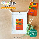 オシャレこども画伯シリーズ そのままデザイン フロントポケットミニサコッシュ ナチュラルカラー アンシャンテラボ / オリジナル商品 父の日 キャンバス 綿 サコッシュ イラスト 子どもの絵 絵 プレゼント 敬老の日【無料メッセージシール付き】【ゆうパケット対応】