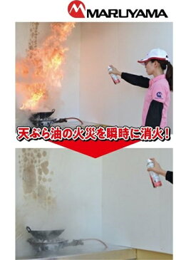 火消しスプレー / 1-8052-11