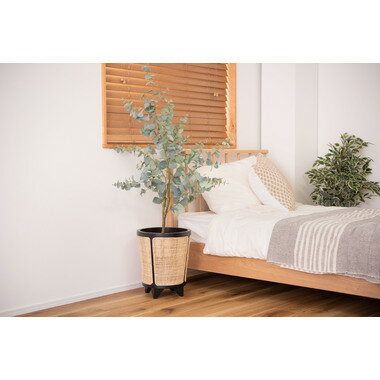 �ڥ᡼����ľ������ë �ץ�󥿡����С� GUY-925