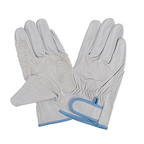 [中部物産貿易] ポークジョイ マジック当付指短 ＃150−SH　S