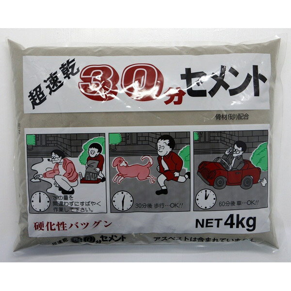 家庭化学 超速乾30分セメント グレー 4kg