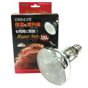ビバリア ハイパーサンUV 100W