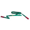 エバープラウド GNKO ベルト荷締機 ラチェットハンドル付 EGR20540S 25mm スリングフック