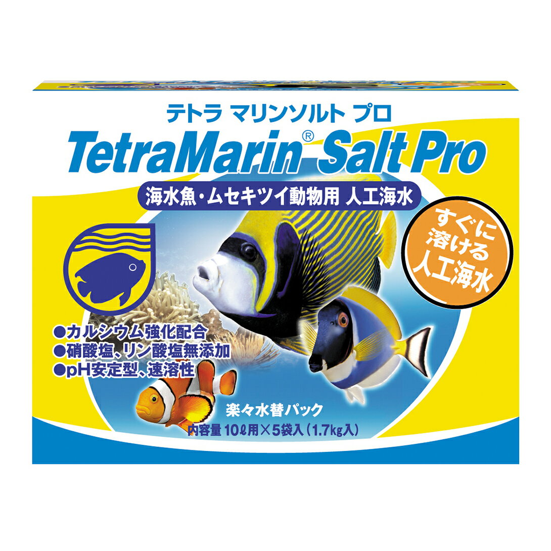 ƥȥ (Tetra) ޥ󥽥ȥץ ڡإѥå