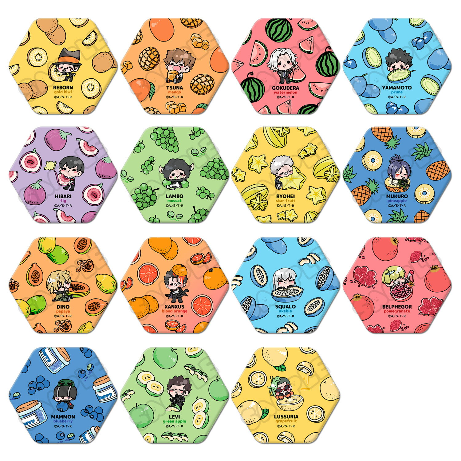 TVアニメ『家庭教師ヒットマンREBORN!』 第3弾 六角形缶バッジ リボーン 沢田綱吉 獄寺隼人 山本武 雲雀恭弥 ランボ 笹川了平 六道骸 ディーノ XANXUS スペルビ・スクアーロ ベルフェゴール マーモン レヴィ・ア・タン ルッスーリア 公認グッズ キャラグッズ