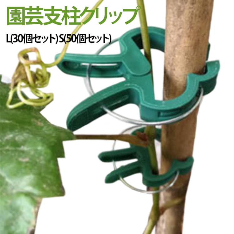 植物や茎をやさしく固定できる便利な園芸用クリップ。トマト・花・つる植物などの支柱固定や誘引作業に最適。軽量で扱いやすいプラスチック製、植物を傷つけにくい安心設計。ワンタッチで簡単に取り付け・取り外しができ、作業効率アップ。家庭菜園・花壇・ガーデニング・温室栽培など幅広いシーンで活躍。 サイズ L(30個セット) S(50個セット) サイズについての説明 S：3x4.5cm L：4.5x6cm※サイズ表の実寸法は商品によって1-3cm程度の誤差がある場合がございます。 素材 プラスチック 色 園芸クリップ 備考 ●サイズ詳細等の測り方はスタッフ間で統一、徹底はしておりますが、実寸は商品によって若干の誤差(1cm～3cm )がある場合がございますので、予めご了承ください。 ●製造ロットにより、細部形状の違いや、同色でも色味に多少の誤差が生じます。 ●パッケージは改良のため予告なく仕様を変更する場合があります。 ▼商品の色は、撮影時の光や、お客様のモニターの色具合などにより、実際の商品と異なる場合がございます。あらかじめ、ご了承ください。 ▼生地の特性上、やや匂いが強く感じられるものもございます。数日のご使用や陰干しなどで気になる匂いはほとんど感じられなくなります。 ▼同じ商品でも生産時期により形やサイズ、カラーに多少の誤差が生じる場合もございます。 ▼他店舗でも在庫を共有して販売をしている為、受注後欠品となる場合もございます。予め、ご了承お願い申し上げます。 ▼出荷前に全て検品を行っておりますが、万が一商品に不具合があった場合は、お問い合わせフォームまたはメールよりご連絡頂けます様お願い申し上げます。速やかに対応致しますのでご安心ください。