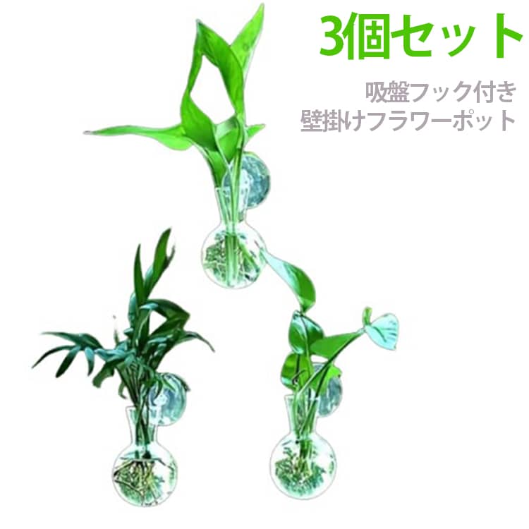 Rakuten - 花びん ガーデニング 花瓶 壁掛け フラワーポット ミニ 花器 インテリア 花瓶 フラワーベース 吊り下げ 吸盤フック付き 水耕栽培ポット 一輪挿し クリア 生け花 壁面装飾 インテリア 初心者 かわいい 透明