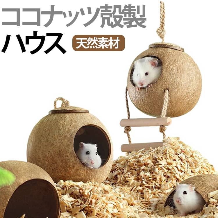 楽天市場】ヤシの実 鳥 巣（ペット・ペットグッズ）の通販