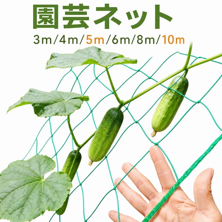 Rakuten - 支柱ネット へちま 栽培ネット 6m 3m 4m ガーデニング 5m 園芸ネット 10m 誘引ネット 農業用 植物サポート つるネット 園芸ネット 家庭菜園 きゅうり ゴーヤ 網 キューリ エンドウ つる 野菜 誘引 栽培 簡単 取付