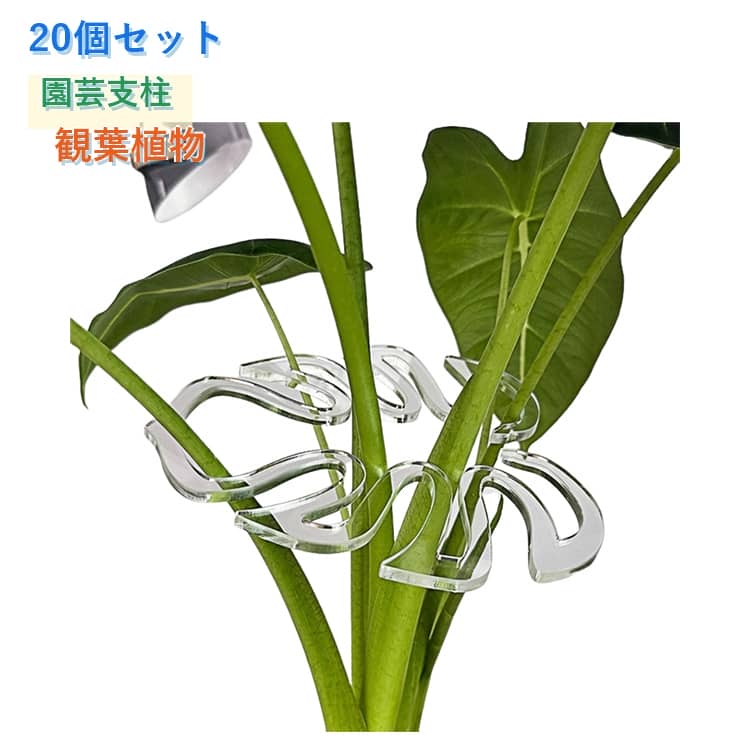 樂天商城 - 【20個セット】園芸支柱 観葉植物 サポート フラワースタンド 花支架 モンステラフラワースタンド ガーデニング 支柱 植物転倒防止 美しい 透明 植木 プランター 成長段階 簡単 ガーデニング 長期間使用 農業用 園芸用 モンステラ ポトス つる性植物