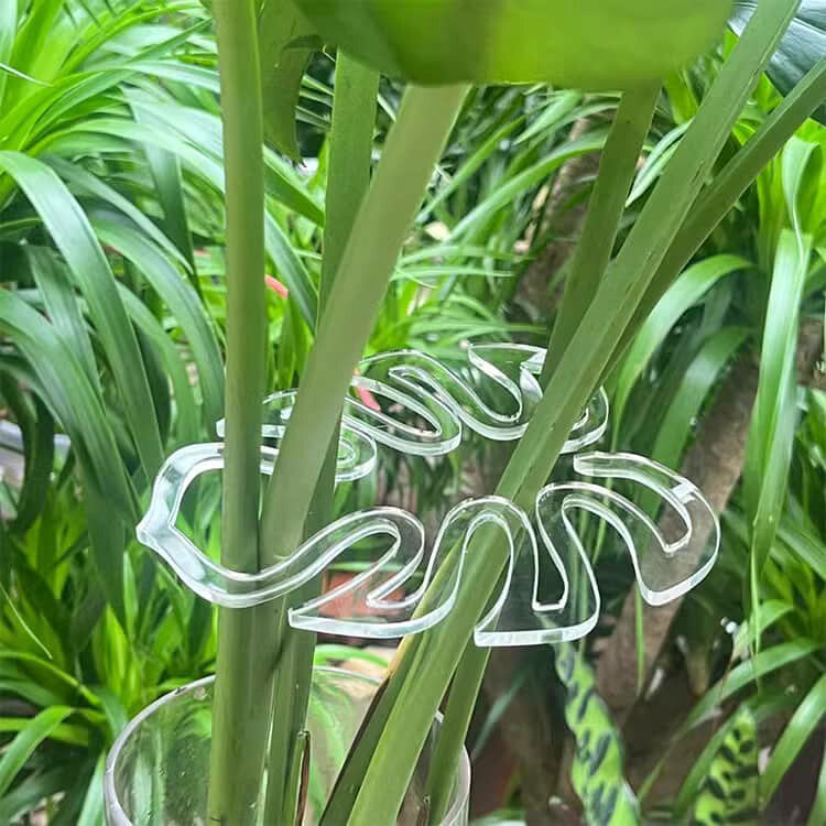 codabianca 楽天市場店の【20個セット】園芸支柱 観葉植物 サポート フラワースタンド 花支架 モンステラフラワースタンド ガーデニング 支柱 植物転倒防止 美しい 透明 植木 プランター 成長段階 簡単 ガーデニング 長期間使用 農業用 園芸用 モンステラ ポトス つる性植物｜アングル2
