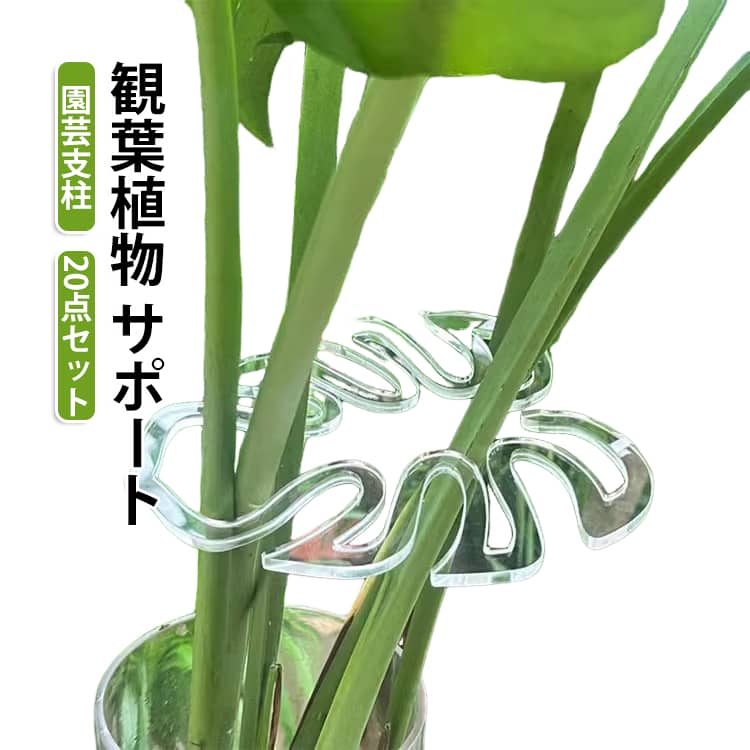 【耐久性に優れ】この植物サポートポールはプラスチック素材で作られており、曲げ角度は調整できませんが、成長段階で最大約50cmの植物を収容でき、倒れるのを防ぎます。【防湿】透明なプラスチックを採用しているので、雨を気にせず屋外で使用できます。透明で美しい外観で、植物の倒伏を防ぎます。【耐候性プラントスタンド】耐食性素材を採用し、耐久性に優れ、環境要因にも耐え、長期間使用しても変形や劣化しません。【適用対象】主にモンステラなどの植物の生育期の倒伏防止に使用されます。モンステラ、ポトス、トマトなどの着生植物やツル性観賞植物の植え付けに適しており、お庭に美しさを添えます。 サイズ 20点セット サイズについての説明 サイズ：20点セット 素材 ABS 色 写真色 備考 ●サイズ詳細等の測り方はスタッフ間で統一、徹底はしておりますが、実寸は商品によって若干の誤差(1cm～3cm )がある場合がございますので、予めご了承ください。 ●製造ロットにより、細部形状の違いや、同色でも色味に多少の誤差が生じます。 ●パッケージは改良のため予告なく仕様を変更する場合があります。 ▼商品の色は、撮影時の光や、お客様のモニターの色具合などにより、実際の商品と異なる場合がございます。あらかじめ、ご了承ください。 ▼生地の特性上、やや匂いが強く感じられるものもございます。数日のご使用や陰干しなどで気になる匂いはほとんど感じられなくなります。 ▼同じ商品でも生産時期により形やサイズ、カラーに多少の誤差が生じる場合もございます。 ▼他店舗でも在庫を共有して販売をしている為、受注後欠品となる場合もございます。予め、ご了承お願い申し上げます。 ▼出荷前に全て検品を行っておりますが、万が一商品に不具合があった場合は、お問い合わせフォームまたはメールよりご連絡頂けます様お願い申し上げます。速やかに対応致しますのでご安心ください。