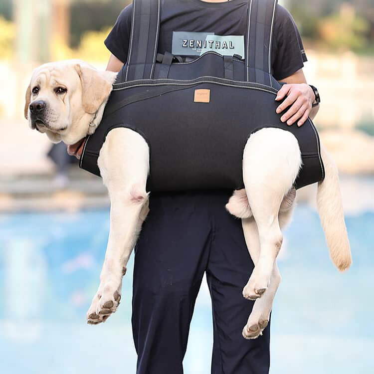 犬 おんぶ紐 抱っこバック ペットキャリー お出かけ 抱っこ紐 犬用 リュック型 ペ...