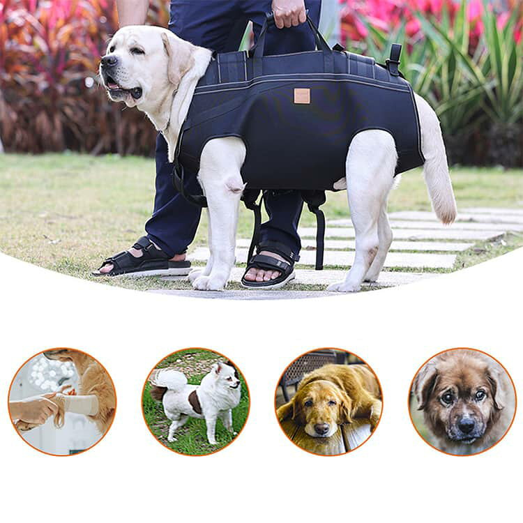 犬 おんぶ紐 抱っこバック ペットキャリー お出かけ 抱っこ紐 犬用 リュック型 ペ...