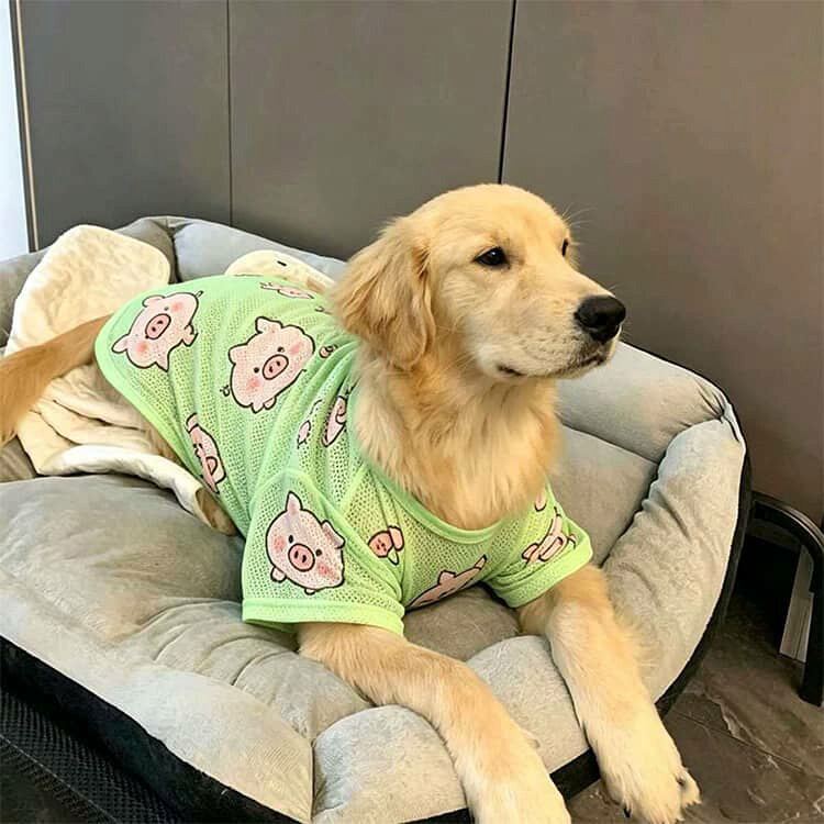 codabianca 楽天市場店の大型犬 大型犬 犬 タンクトップ メッシュ 大型犬 服 涼しい 犬の服 ノースリーブ ウェア 濡らす 袖なし 大型犬 犬 涼し気 可愛い タンクトップ 犬服 春 夏 犬の服 ドッグウエア 犬服 抗菌 防臭 防虫 接触冷感｜アングル3