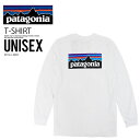 patagonia パタゴニア LONG SLEEVE P-6 LOGO RESPONSIBILI TEE (ロング スリーブ ロゴ レスポンシビリ Tシャツ) メンズ レディース カットソー ロンT トップス WHITE ホワイト 白 38518-WHI エンドレストリップ