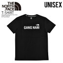 ザ・ノース・フェイス ペアTシャツ 【希少! ユニセックス】THE NORTH FACE (ノースフェイス) G/N LTD EDITION S/S R/TEE (LTDエディション ショートスリーブ Tシャツ) メンズ レディース カットソー トップス 半袖Tシャツ BLACK (ブラック) White Label Korea Line NT7UL29A NT7UL29ABLK dpd-2