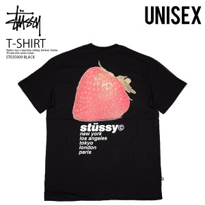 STUSSY（ステューシー）Tシャツ STRAWBERRY TEE (ストロベリー Tシャツ) 半袖 半袖T カットソー トップス メンズ レディース ユニセックス BLACK (ブラック) 黒 ST035009 BLACK エンドレストリップ