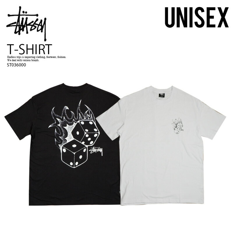 STUSSY（ステューシー）Tシャツ FIRE DICE SS TEE (ファイアー ダイス ショートスリーブ Tシャツ) 半袖 半袖T カットソー トップス メンズ レディース ユニセックス BLACK (ブラック) WHITE(ホワイト) ST036000 エンドレストリップ