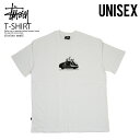 ステューシー ペアTシャツ STUSSY (ステューシー) Tシャツ SKULL SCOOTER SS TEE (スカル スクーター Tシャツ ) ユニセックス メンズ レディース カットソー 半袖 トップス WHITE (ホワイト) 白 ST037001 WHITE ENDLESS TRIP エンドレストリップ dpd ypd