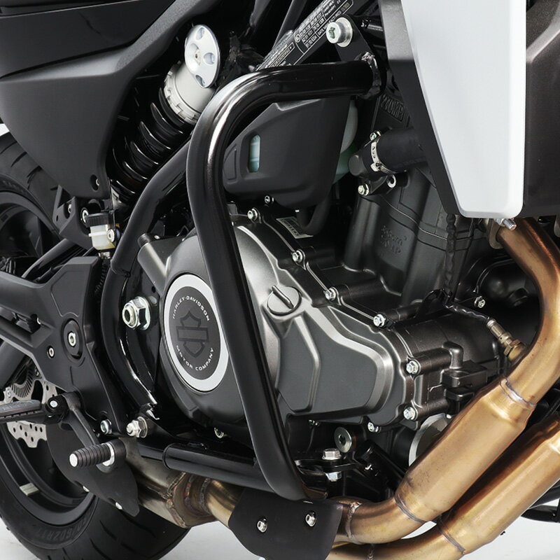 「エントリーポイント5倍」X350 X30 エンジンガード バイク