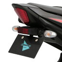 GSX250R DN12B DN11A フェンダーレスキット バイク