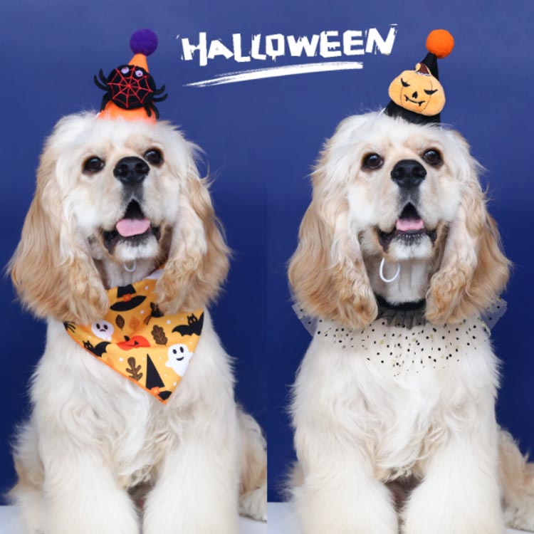 コスプレ ペット パーティ 可愛い 犬 魔法使い おもしろ スカーフ ハロウィン 仮装...