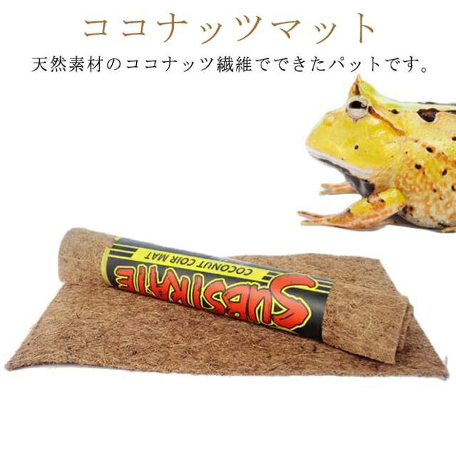 天然素材のココナッツ繊維でできたパットです。コイア繊維は天然の吸湿性、防湿性、防カビ性、通気性、保湿性があるためペットの健康に対して良い環境を提供できることと思います。また、天然、ナチュラルな風合いはペットにとって快適な居住空間になることでしょう。大型サイズなので、両生類、カメ、トカゲ等爬虫類用のテラリウム製作において十分なサイズ感であることと思います。ぜひ、ペットに癒やされるとともに、ペットへ癒やしを♪ サイズ 100×40×1cm 80×40×1cm サイズについての説明 【サイズ】80×40×1cm/100×40×1cm 素材 ココナッツ繊維 色 写真色 備考 ●サイズ詳細等の測り方はスタッフ間で統一、徹底はしておりますが、実寸は商品によって若干の誤差(1cm～3cm )がある場合がございますので、予めご了承ください。 ●製造ロットにより、細部形状の違いや、同色でも色味に多少の誤差が生じます。 ●パッケージは改良のため予告なく仕様を変更する場合があります。 ▼商品の色は、撮影時の光や、お客様のモニターの色具合などにより、実際の商品と異なる場合がございます。あらかじめ、ご了承ください。 ▼生地の特性上、やや匂いが強く感じられるものもございます。数日のご使用や陰干しなどで気になる匂いはほとんど感じられなくなります。 ▼同じ商品でも生産時期により形やサイズ、カラーに多少の誤差が生じる場合もございます。 ▼他店舗でも在庫を共有して販売をしている為、受注後欠品となる場合もございます。予め、ご了承お願い申し上げます。 ▼出荷前に全て検品を行っておりますが、万が一商品に不具合があった場合は、お問い合わせフォームまたはメールよりご連絡頂けます様お願い申し上げます。速やかに対応致しますのでご安心ください。