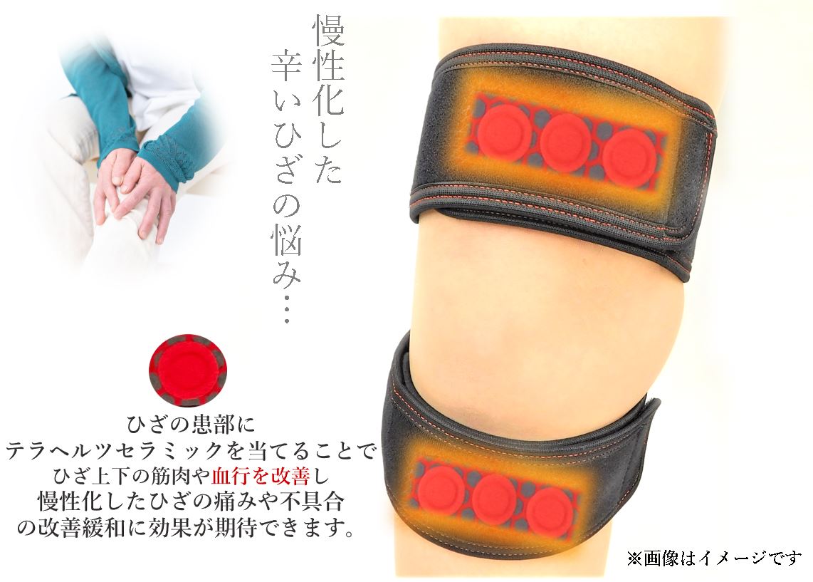 [公式] カンジンヒザ【KB-05】【ポイント10倍】【送料無料】 ひざ用　サポーター　...