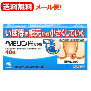 【第2類医薬品】【メール便！送料無料】【小林製薬】ヘモリンド舌下錠　40錠入り