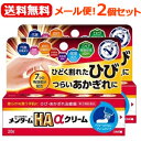 【第3類医薬品】【送料無料!メール便!2個セット!】メンタームHAαクリーム 20g×2個セット【近江兄弟社】しもやけ・あかぎれ用薬 メンタームHAαクリーム